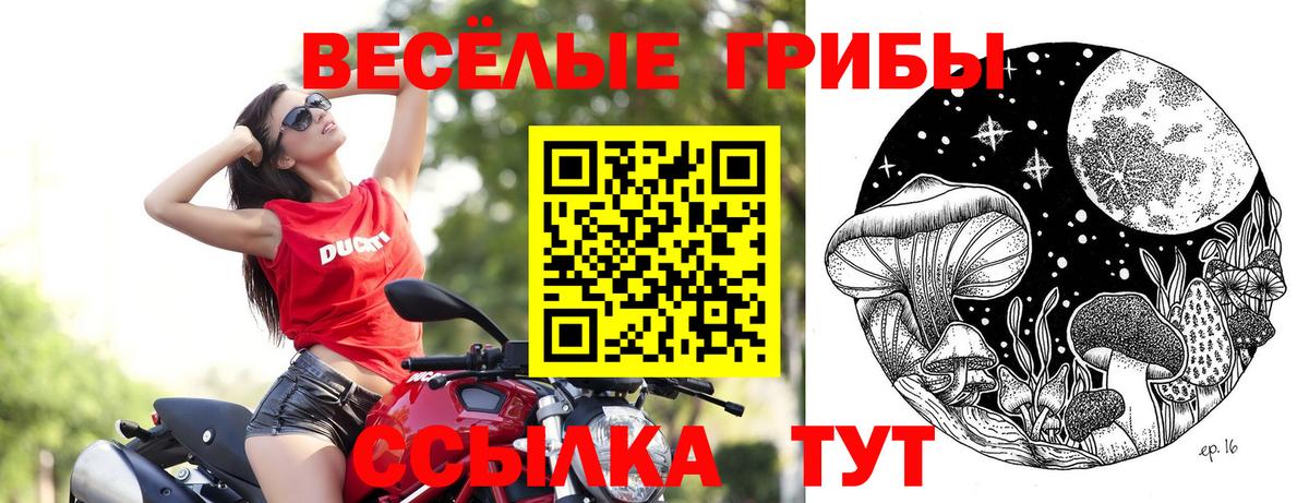 Псилоцибиновые грибы GOLDEN TEACHER Черкесск