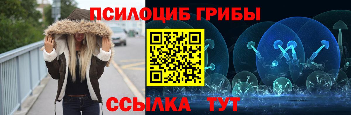 Псилоцибиновые грибы мицелий  Вход с VPN  Черкесск 